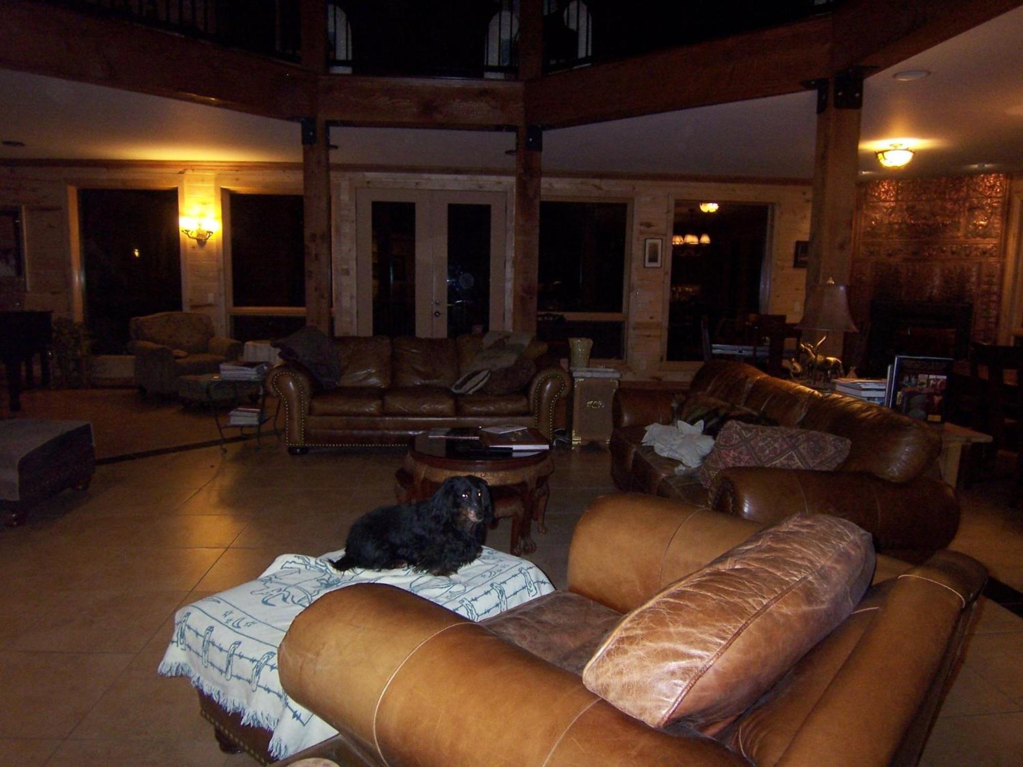 Elktrace Bed And Breakfast Pagosa Springs Eksteriør bilde