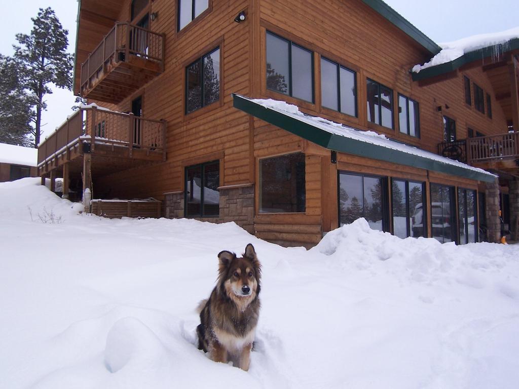 Elktrace Bed And Breakfast Pagosa Springs Eksteriør bilde
