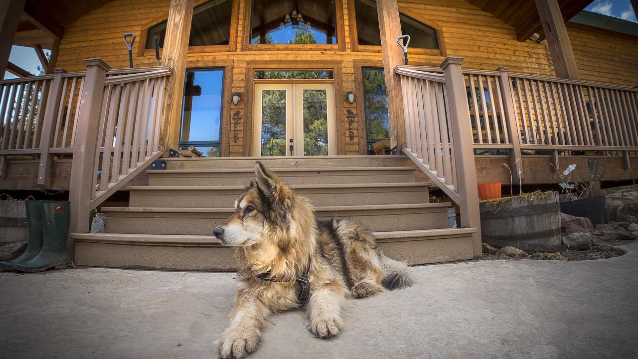 Elktrace Bed And Breakfast Pagosa Springs Eksteriør bilde